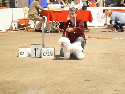 de Macre Blues - Fabio champion :)
