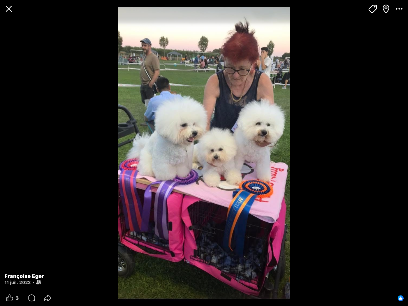 Mes Bichons